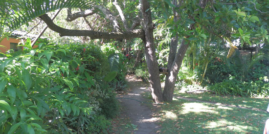Our front garden