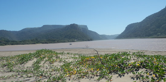 River scene